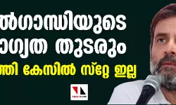 രാഹുല്‍ഗാന്ധിയുടെ അയോഗ്യത തുടരും; അപകീര്‍ത്തി കേസില്‍ സ്‌റ്റേ ഇല്ല