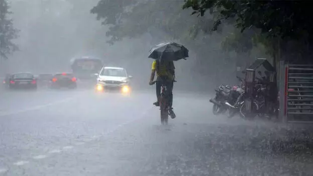 മഴ; എറണാകുളം, കാസര്‍കോട് ജില്ലകളിലെ വിദ്യാഭ്യാസ സ്ഥാപനങ്ങള്‍ക്ക് നാളെ അവധി