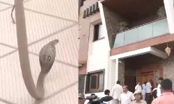 ബസവരാജ് ബൊമ്മൈയുടെ വസതിയില്‍ വിഷപ്പാമ്പ്; ഖാര്‍ഗേയുടെ ഉപമ സത്യമായോയെന്ന് പരിഹാസ്യം