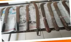 പാലപ്പുഴ ആര്‍എസ്എസ് കേന്ദ്രത്തിലെ ആയുധ ശേഖരം; സമഗ്രാന്വേഷണം വേണമെന്ന് എസ് ഡിപിഐ