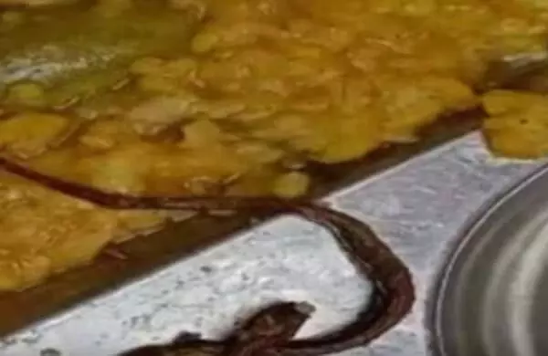 സര്ക്കാര് സ്കൂളിലെ ഉച്ചക്കഞ്ഞിയില് ചത്ത പാമ്പ്; നൂറോളം കുട്ടികള്ക്ക് ദേഹാസ്വാസ്ഥ്യം സര്ക്കാര് സ്കൂളിലെ ഉച്ചക്കഞ്ഞിയില് ചത്ത പാമ്പ്; നൂറോളം കുട്ടികള്ക്ക് ദേഹാസ്വാസ്ഥ്യം