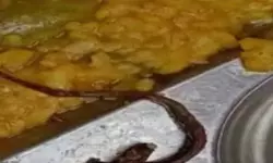 സര്‍ക്കാര്‍ സ്‌കൂളിലെ ഉച്ചക്കഞ്ഞിയില്‍ ചത്ത പാമ്പ്; നൂറോളം കുട്ടികള്‍ക്ക് ദേഹാസ്വാസ്ഥ്യം