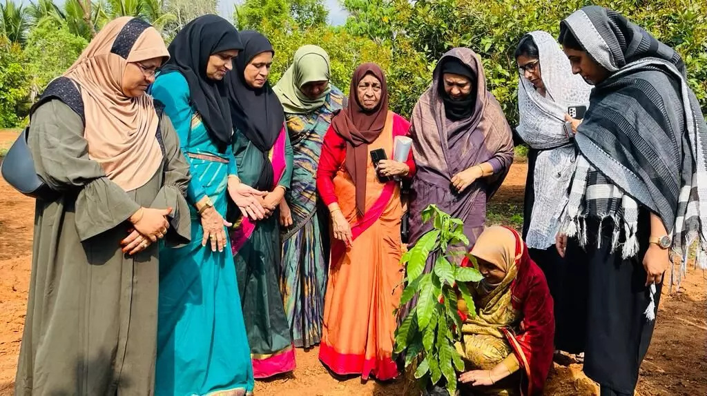 പരിസ്ഥിതി ദിനത്തില് വൃക്ഷ തൈകള് നട്ടു; സല്മ ടീച്ചര്ക്ക് വനിതാ ലീഗിന്റെ കൈയ്യെപ്പ് പരിസ്ഥിതി ദിനത്തില് വൃക്ഷ തൈകള് നട്ടു; സല്മ ടീച്ചര്ക്ക് വനിതാ ലീഗിന്റെ കൈയ്യെപ്പ്