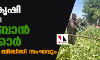 കറുപ്പ് കൃഷി തുടച്ചുനീക്കി താലിബാന് സര്ക്കാര്; സ്ഥിരീകരിച്ച് ബിബിസി സംഘവും കറുപ്പ് കൃഷി തുടച്ചുനീക്കി താലിബാന് സര്ക്കാര്; സ്ഥിരീകരിച്ച് ബിബിസി സംഘവും