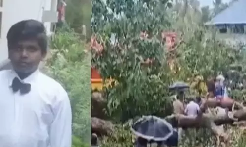 കളിക്കുന്നതിനിടെ മരക്കൊമ്പ് വീണ് എട്ടുവയസ്സുകാരന്‍ മരണപ്പെട്ടു