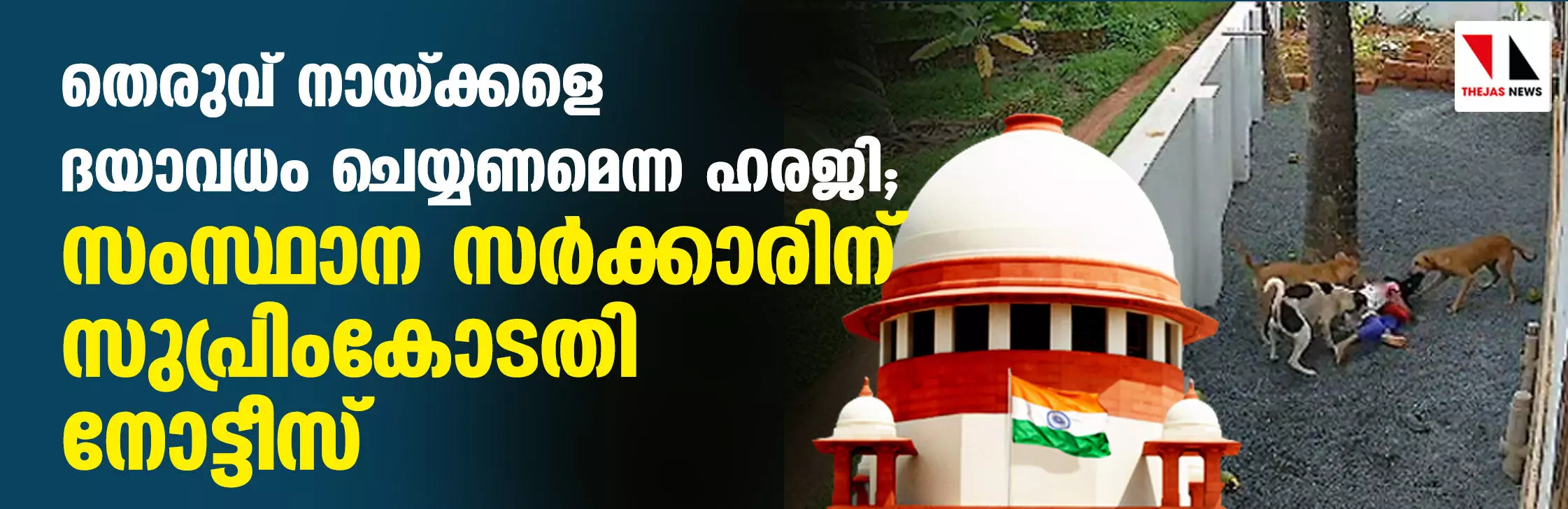 തെരുവ് നായ്ക്കളെ ദയാവധം ചെയ്യണമെന്ന ഹരജി;  സംസ്ഥാന സര്‍ക്കാരിന് സുപ്രിംകോടതി നോട്ടീസ്