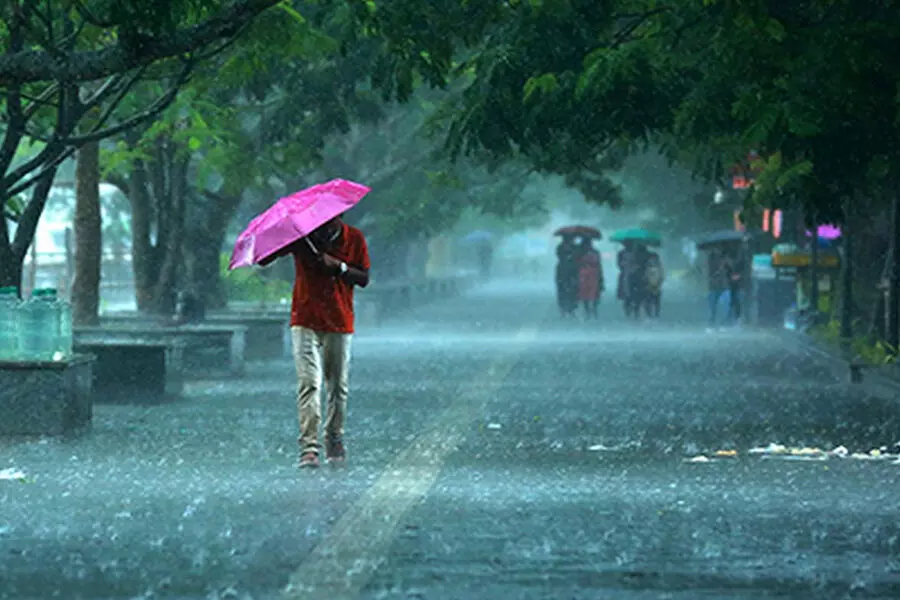 കനത്ത മഴ; വയനാട്ടില്‍ നാളെ അവധി