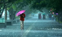 കനത്ത മഴ; വയനാട്ടില്‍ നാളെ അവധി