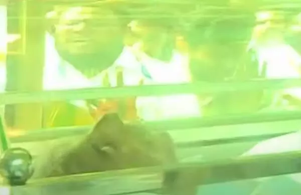 ഉമ്മന്ചാണ്ടിയുടെ മൃതദേഹം തിരുവനന്തപുരത്ത് എത്തിച്ചു; പുതുപ്പള്ളി ഹൗസ് ദുഖസാന്ദ്രം ഉമ്മന്ചാണ്ടിയുടെ മൃതദേഹം തിരുവനന്തപുരത്ത് എത്തിച്ചു; പുതുപ്പള്ളി ഹൗസ് ദുഖസാന്ദ്രം