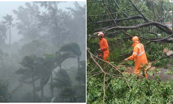 പാലക്കാട് മിന്നല്‍ ചുഴലി; മരങ്ങള്‍ കടപുഴകി വീണു; 15 ഓളം വീടുകള്‍ തകര്‍ന്നു