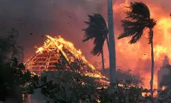 അമേരിക്കയിലെ ഹവായ് ദ്വീപില്‍ കാട്ടുതീ പടരുന്നു; 36 മരണം