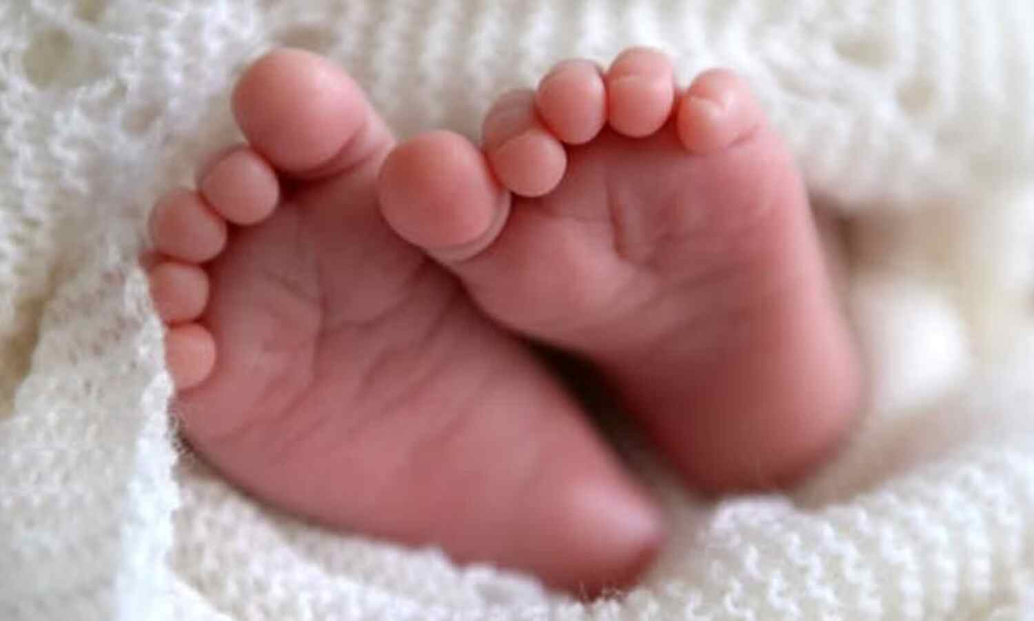 തിരുവല്ലയില് മാലിന്യങ്ങള്ക്കിടയില് കണ്ടെത്തിയത് പെണ്കുഞ്ഞിന്റെ മൃതദേഹം; മൂന്നുദിവസത്തിലേറെ പഴക്കമെന്ന് നിഗമനം തിരുവല്ലയില് മാലിന്യങ്ങള്ക്കിടയില് കണ്ടെത്തിയത് പെണ്കുഞ്ഞിന്റെ മൃതദേഹം; മൂന്നുദിവസത്തിലേറെ പഴക്കമെന്ന് നിഗമനം