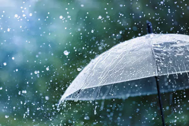 ന്യൂനമര്ദ്ദം; വരും മണിക്കൂറുകളില് സംസ്ഥാനത്ത് എല്ലാ ജില്ലകളിലും മഴ ന്യൂനമര്ദ്ദം; വരും മണിക്കൂറുകളില് സംസ്ഥാനത്ത് എല്ലാ ജില്ലകളിലും മഴ