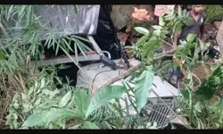 വയനാട് ജീപ്പ് അപകടത്തില്‍ മനുഷ്യാവകാശ കമ്മീഷന്‍ കേസെടുത്തു