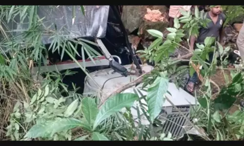 വയനാട് ജീപ്പ് അപകടത്തില്‍ മനുഷ്യാവകാശ കമ്മീഷന്‍ കേസെടുത്തു