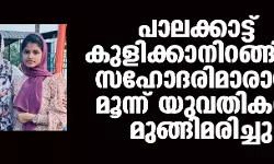 പാലക്കാട്ട് സഹോദരിമാരായ മൂന്ന് യുവതികള്‍ മുങ്ങിമരിച്ചു