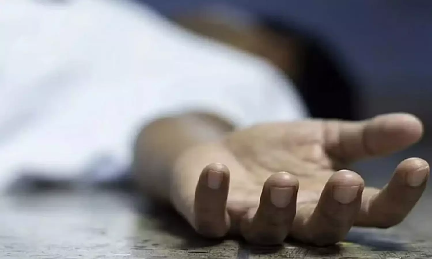 പൂക്കോട് വെറ്ററിനറി സര്വകലാശാല കാംപസിനകത്ത് വാഹനാപകടം; വിദ്യാര്ത്ഥി മരിച്ചു പൂക്കോട് വെറ്ററിനറി സര്വകലാശാല കാംപസിനകത്ത് വാഹനാപകടം; വിദ്യാര്ത്ഥി മരിച്ചു