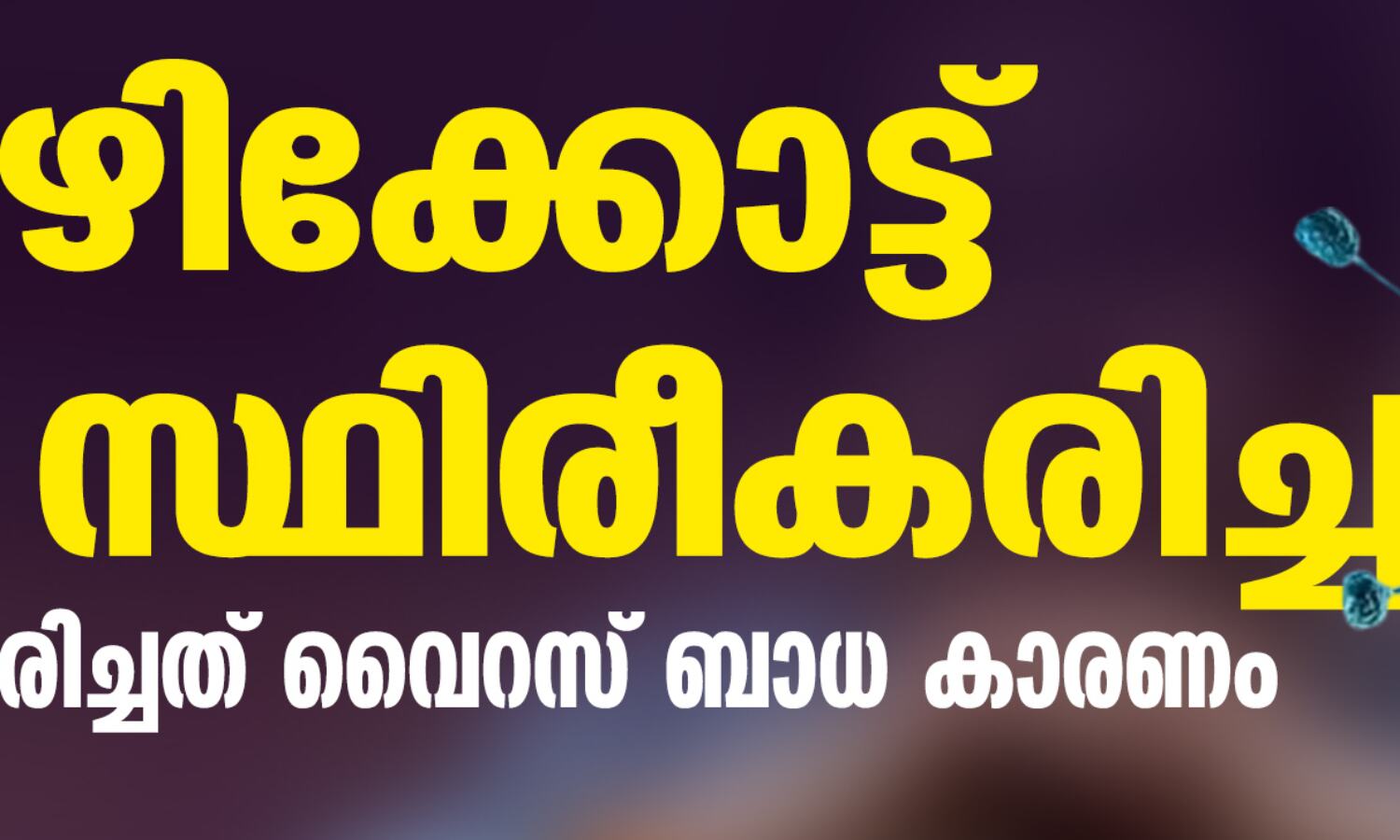 കോഴിക്കോട്ട് നിപ സ്ഥിരീകരിച്ചു; രണ്ടുപേര് മരിച്ചത് വൈറസ് ബാധ കാരണം കോഴിക്കോട്ട് നിപ സ്ഥിരീകരിച്ചു; രണ്ടുപേര് മരിച്ചത് വൈറസ് ബാധ കാരണം