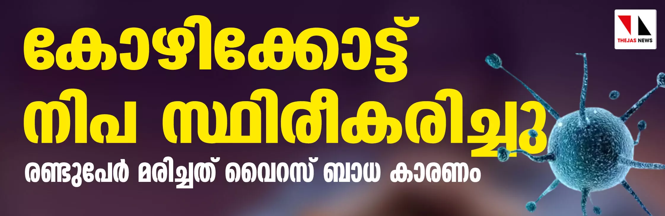 കോഴിക്കോട്ട് നിപ സ്ഥിരീകരിച്ചു; രണ്ടുപേര്‍ മരിച്ചത് വൈറസ് ബാധ കാരണം