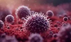 നിപ വ്യാപനം; കോഴിക്കോട്ട് വിദ്യാഭ്യാസ സ്ഥാപനങ്ങള് അനിശ്ചിതകാലത്തേക്ക് അടച്ചിടും; ക്ലാസുകള് ഓണ്ലൈനില് നിപ വ്യാപനം; കോഴിക്കോട്ട് വിദ്യാഭ്യാസ സ്ഥാപനങ്ങള് അനിശ്ചിതകാലത്തേക്ക് അടച്ചിടും; ക്ലാസുകള് ഓണ്ലൈനില്