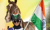കുതിരയോട്ട മല്സരത്തിലെ ഇന്ത്യയുടെ അഭിമാന താരത്തിന് ജന്മനാടിന്റെ സ്വീകരണവും ആദരവും നാളെ കുതിരയോട്ട മല്സരത്തിലെ ഇന്ത്യയുടെ അഭിമാന താരത്തിന് ജന്മനാടിന്റെ സ്വീകരണവും ആദരവും നാളെ