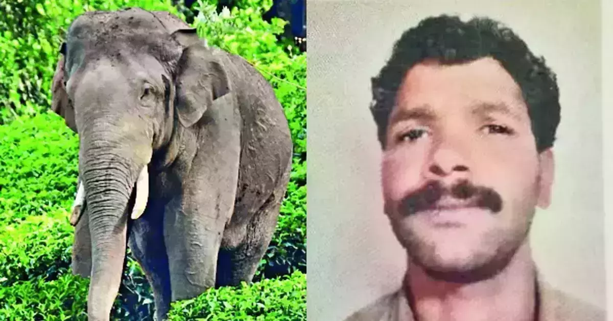 അരിക്കൊമ്പനുവേണ്ടി സമരം ചെയ്ത യുവാവ് മരിച്ച നിലയില്‍