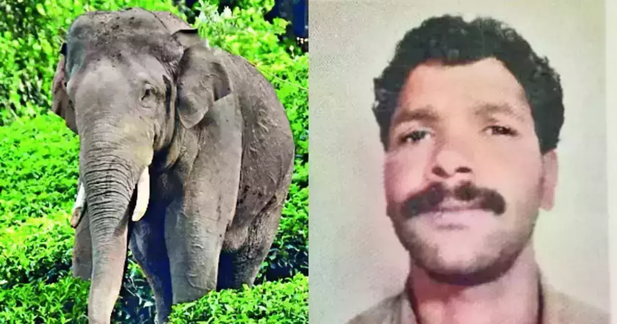 അരിക്കൊമ്പനുവേണ്ടി സമരം ചെയ്ത യുവാവ് മരിച്ച നിലയില്‍