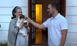 വളര്‍ത്തുനായയ്ക്ക് മുസ് ലിം പേരിട്ട് രാഹുല്‍ ഗാന്ധി; പ്രതിഷേധം, മാപ്പ് പറയണമെന്ന് എഐഎംഐഎം നേതാവ്