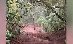 ഇടുക്കി നെടുങ്കണ്ടത്ത് ഉരുള്‍പൊട്ടി; ഒരേക്കറോളം കൃഷി നശിച്ചു