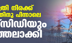 വൈദ്യുതി നിരക്ക് കൂട്ടിയതിനു പിന്നാലെ സബ്‌സിഡിയും നിര്‍ത്തലാക്കി