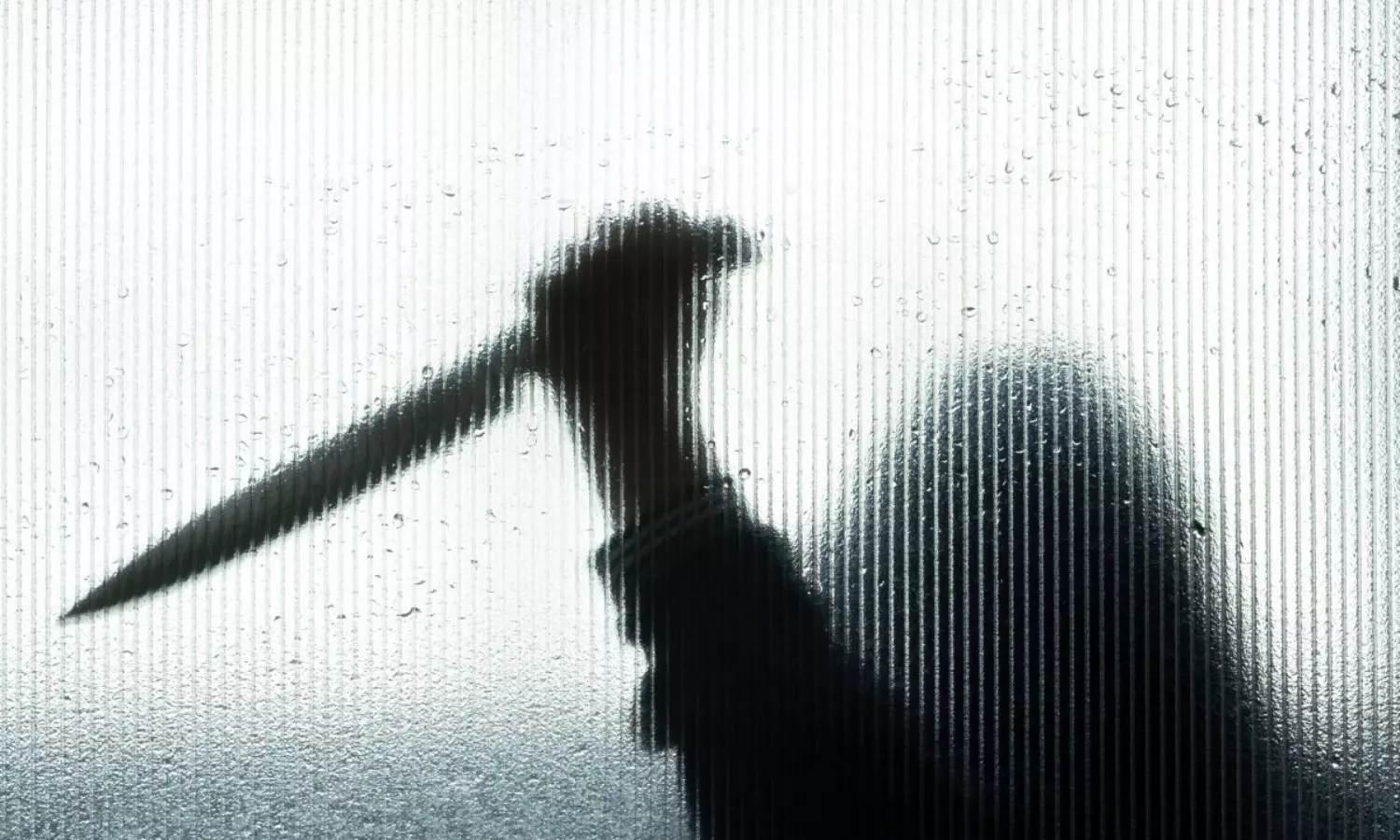 പാലക്കാട് യുവതിയെ ഭര്‍ത്താവ് വെട്ടിക്കൊന്നു; ആക്രമണം ജോലിക്കു പോകുന്നതിനിടെ