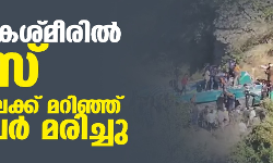 ജമ്മു കശ്മീരില് ബസ് തോട്ടിലേക്ക് മറിഞ്ഞ് 36 പേര് മരിച്ചു ജമ്മു കശ്മീരില് ബസ് തോട്ടിലേക്ക് മറിഞ്ഞ് 36 പേര് മരിച്ചു
