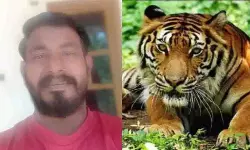 വയനാട്ടില് യുവാവിനെ കടുവ കൊലപ്പെടുത്തി ശരീരഭാഗങ്ങള് ഭക്ഷിച്ച നിലയില് വയനാട്ടില് യുവാവിനെ കടുവ കൊലപ്പെടുത്തി ശരീരഭാഗങ്ങള് ഭക്ഷിച്ച നിലയില്