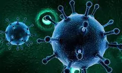 സംസ്ഥാനത്ത് 24 മണിക്കൂറിനിടെ 385 കൊവിഡ് കേസുകള്‍; ഒരു മരണം