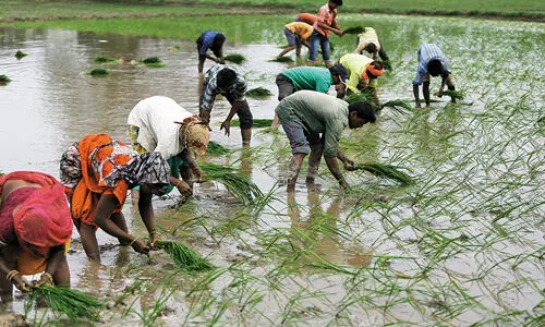 സര്‍ക്കാര്‍ രാജ്യത്തെ കര്‍ഷകരെ ദുരിതത്തിലേക്ക് തള്ളിയിടുന്നു; ഡിസംബര്‍ 10 ന് പ്രതിഷേധ ദിനം ആചരിക്കുമെന്ന് അഖിലേന്ത്യാ കിസാന്‍ സഭ