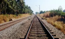 เดฎเตเดจเตเดจเตเดตเดฐเตโเดทเดคเตเดคเดฟเดจเดฟเดเต เดชเดพเดฒเดเตเดเดพเดเต เดกเดฟเดตเดฟเดทเดจเดฟเดฒเต เดฑเตเดฏเดฟเดฒเตโเดชเดพเดณเดคเตเดคเดฟเดฒเตโ เดชเตเดฒเดฟเดเตเดเดคเต 1355 เดเตเดตเดจเตโ เดฎเตเดจเตเดจเตเดตเดฐเตโเดทเดคเตเดคเดฟเดจเดฟเดเต เดชเดพเดฒเดเตเดเดพเดเต เดกเดฟเดตเดฟเดทเดจเดฟเดฒเต เดฑเตเดฏเดฟเดฒเตโเดชเดพเดณเดคเตเดคเดฟเดฒเตโ เดชเตเดฒเดฟเดเตเดเดคเต 1355 เดเตเดตเดจเตโ