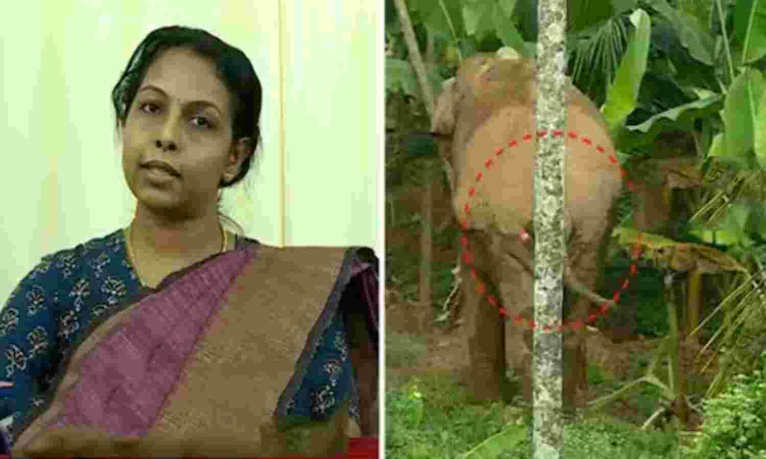 തണ്ണീർക്കൊമ്പനിൽ വീഴ്ച സംഭവിച്ചിട്ടില്ലെന്ന് വനം വകുപ്പ്; റേഡിയോ കോളറുള്ള മറ്റൊരു ആനയും കേരള അതിർത്തിയിൽ തണ്ണീർക്കൊമ്പനിൽ വീഴ്ച സംഭവിച്ചിട്ടില്ലെന്ന് വനം വകുപ്പ്; റേഡിയോ കോളറുള്ള മറ്റൊരു ആനയും കേരള അതിർത്തിയിൽ