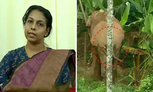 തണ്ണീർക്കൊമ്പനിൽ വീഴ്ച സംഭവിച്ചിട്ടില്ലെന്ന് വനം വകുപ്പ്; റേഡിയോ കോളറുള്ള മറ്റൊരു ആനയും കേരള അതിർത്തിയിൽ തണ്ണീർക്കൊമ്പനിൽ വീഴ്ച സംഭവിച്ചിട്ടില്ലെന്ന് വനം വകുപ്പ്; റേഡിയോ കോളറുള്ള മറ്റൊരു ആനയും കേരള അതിർത്തിയിൽ