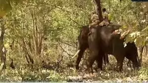 വയനാട്ടിലെ മിഷന്‍ ബേലൂര്‍ മഖ്‌ന തിങ്കളാഴ്ച വീണ്ടും തുടരും; വിദ്യാഭ്യാസ സ്ഥാപനങ്ങള്‍ക്ക് അവധി