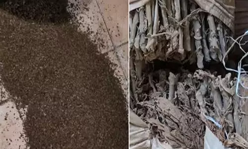 ഗോഡൗണിൽ മിന്നല് പരിശോധന; പിടികൂടിയത് 83 ടൺ പുകയില ഉൽപന്നങ്ങൾ ഗോഡൗണിൽ മിന്നല് പരിശോധന; പിടികൂടിയത് 83 ടൺ പുകയില ഉൽപന്നങ്ങൾ
