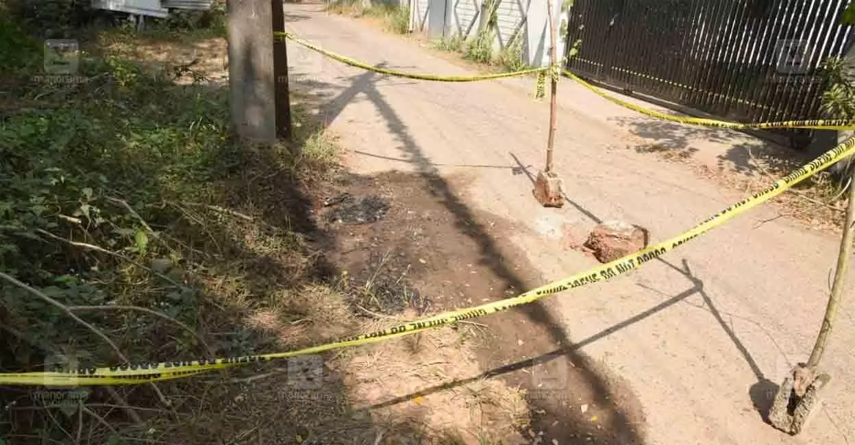 ചേര്‍ത്തലയില്‍ ഭര്‍ത്താവ് പെടോളൊഴിച്ച് കത്തിച്ച യുവതി മരിച്ചു