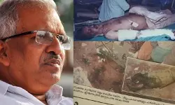 പി ജയരാജന്‍ വധശ്രമക്കേസ്; ആര്‍എസ്എസ്സുകാരായ എട്ട് പ്രതികളെ ഹൈക്കോടതി വെറുതെവിട്ടു