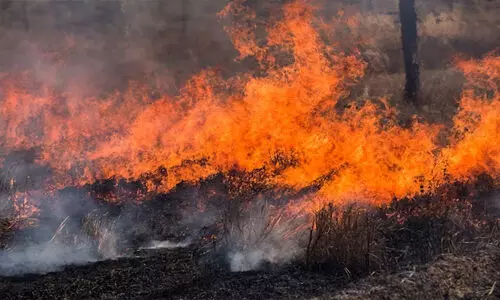 മാടായിപ്പാറയിൽ തീപിടിത്തം; രണ്ട് ഏക്കറോളം പുൽമേടുകൾ കത്തിനശിച്ചു