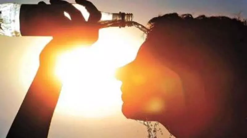 സംസ്ഥാനത്ത് ഒമ്പത് ജില്ലകളില് ചൂട് കൂടും; ഞായറാഴ്ച വരെ തുടരും സംസ്ഥാനത്ത് ഒമ്പത് ജില്ലകളില് ചൂട് കൂടും; ഞായറാഴ്ച വരെ തുടരും