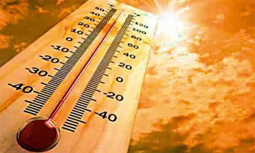 കൊല്ലത്തും പാലക്കാടും ചൂടു കൂടും; 38° വരെ ഉയരാൻ സാധ്യത കൊല്ലത്തും പാലക്കാടും ചൂടു കൂടും; 38° വരെ ഉയരാൻ സാധ്യത