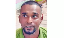 വീട്ടുമുറ്റത്ത് കഞ്ചാവ് കൃഷി ചെയ്ത യുവാവ് പിടിയിൽ; കണ്ടെടുത്തത് 31 കഞ്ചാവ് ചെടികൾ