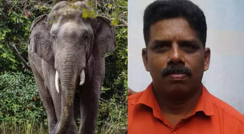 കാട്ടാന ചവിട്ടിക്കൊന്ന ബിജു മാത്യുവിന്റെ കുടുംബത്തിന് 50 ലക്ഷം നല്കാന് ശുപാര്ശ കാട്ടാന ചവിട്ടിക്കൊന്ന ബിജു മാത്യുവിന്റെ കുടുംബത്തിന് 50 ലക്ഷം നല്കാന് ശുപാര്ശ