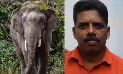 เดเดพเดเตเดเดพเดจ เดเดตเดฟเดเตเดเดฟเดเตเดเตเดจเตเดจ เดฌเดฟเดเต เดฎเดพเดคเตเดฏเตเดตเดฟเดจเตเดฑเต เดเตเดเตเดเดฌเดคเตเดคเดฟเดจเต 50 เดฒเดเตเดทเด เดจเดฒเตโเดเดพเดจเตโ เดถเตเดชเดพเดฐเตโเดถ เดเดพเดเตเดเดพเดจ เดเดตเดฟเดเตเดเดฟเดเตเดเตเดจเตเดจ เดฌเดฟเดเต เดฎเดพเดคเตเดฏเตเดตเดฟเดจเตเดฑเต เดเตเดเตเดเดฌเดคเตเดคเดฟเดจเต 50 เดฒเดเตเดทเด เดจเดฒเตโเดเดพเดจเตโ เดถเตเดชเดพเดฐเตโเดถ