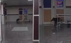 เดเตเดจเตเดจเดฟ เดเดต เดฎเตเดกเดฟเดเตเดเดฒเตโ เดเตเดณเดเต เด
เดคเตเดฏเดพเดนเดฟเดคเดตเดฟเดญเดพเดเดคเตเดคเดฟเดฒเตเดเตเดเต เดเดพเดเตเดเตเดชเดจเตเดจเดฟเดเตเดเตเดเตเดเต เดเดเดฟเดเตเดเดฏเดฑเดฟ เดเตเดจเตเดจเดฟ เดเดต เดฎเตเดกเดฟเดเตเดเดฒเตโ เดเตเดณเดเต เด
เดคเตเดฏเดพเดนเดฟเดคเดตเดฟเดญเดพเดเดคเตเดคเดฟเดฒเตเดเตเดเต เดเดพเดเตเดเตเดชเดจเตเดจเดฟเดเตเดเตเดเตเดเต เดเดเดฟเดเตเดเดฏเดฑเดฟ