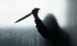 രണ്ടാം വിവാഹം കഴിക്കാന് തീരുമാനിച്ച 60കാരിയെ സഹോദരന് കൊന്ന് വീട്ടുവളപ്പില് കുഴിച്ചുമൂടി രണ്ടാം വിവാഹം കഴിക്കാന് തീരുമാനിച്ച 60കാരിയെ സഹോദരന് കൊന്ന് വീട്ടുവളപ്പില് കുഴിച്ചുമൂടി